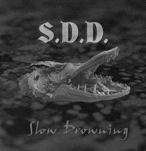 sdd drowning
